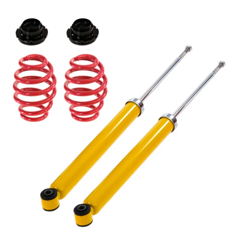 Nedsatt pris Coilovers bak Shock Racing BMW 3-Serie E46 (1998-2005)